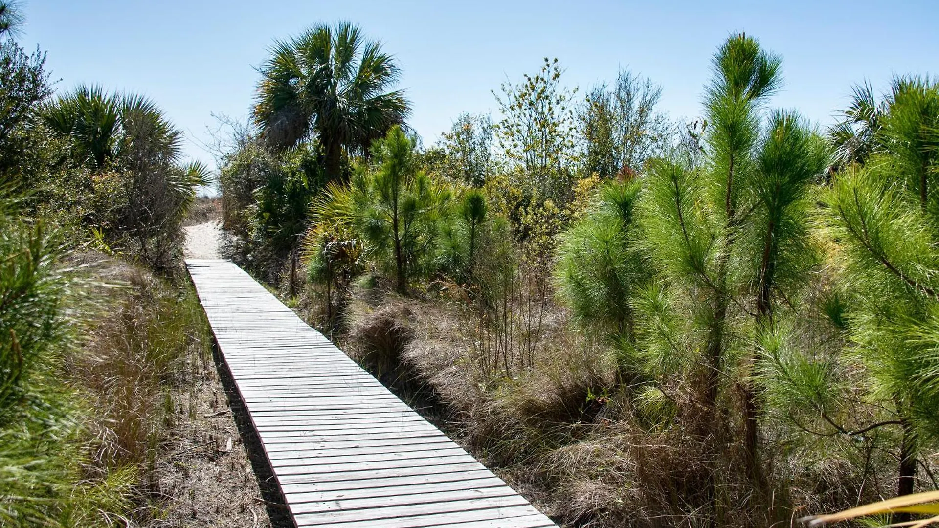 22 Sand Dollar Road | Koi Cottage Hilton Head Island United States